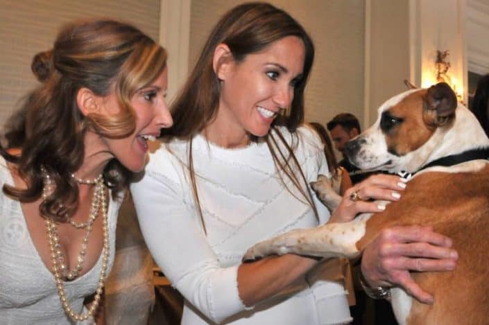 2017 Paws on the Catwalk Humane Society of Sarasota County