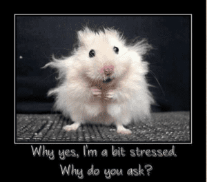 stress and dental health