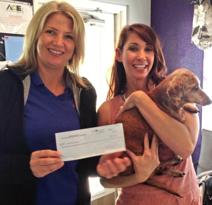 Donating to Vintage Paws