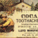 toothache tooth pain sarasota