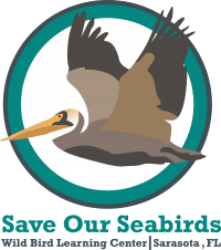 Save our Seabirds