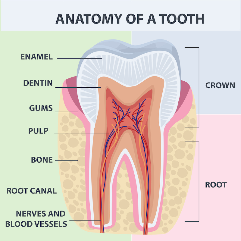 Crazy Dentist Fun Doctor Games – Apps no Google Play